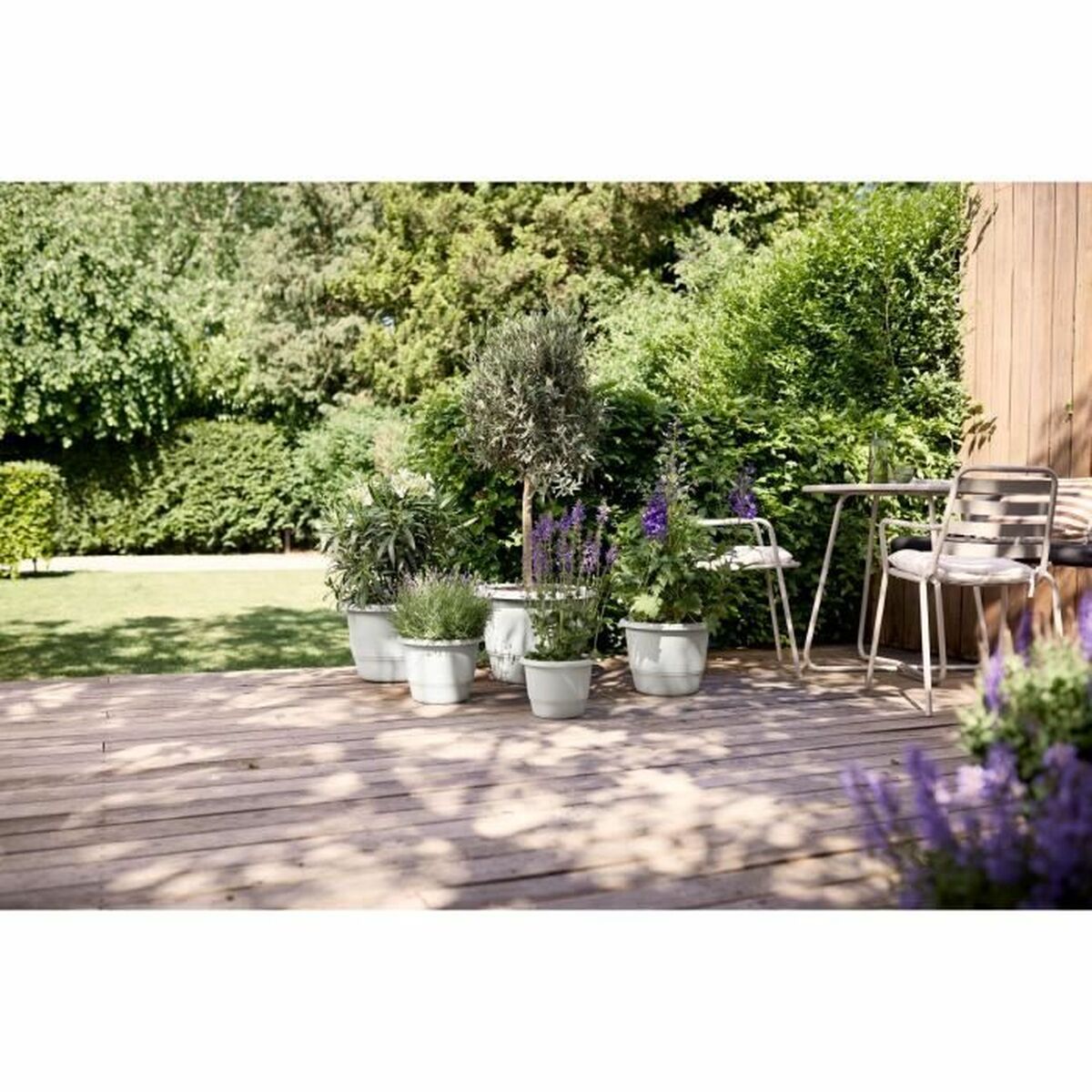 V3H6CFCB291916A631F66381C0A854417EBR5529158P5