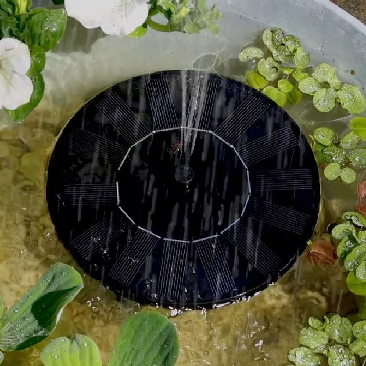 V6H9D3C30D105DABB33F06C8C13784A642CR5504710P4