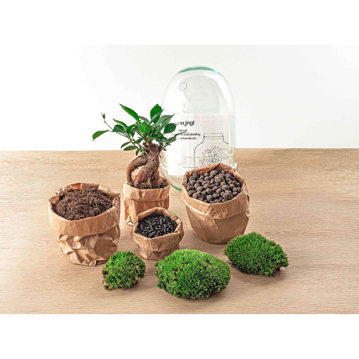 Terrarium DIY Kit - Ei XL Bonsai - Flaschengarten - ↑ 30 cm