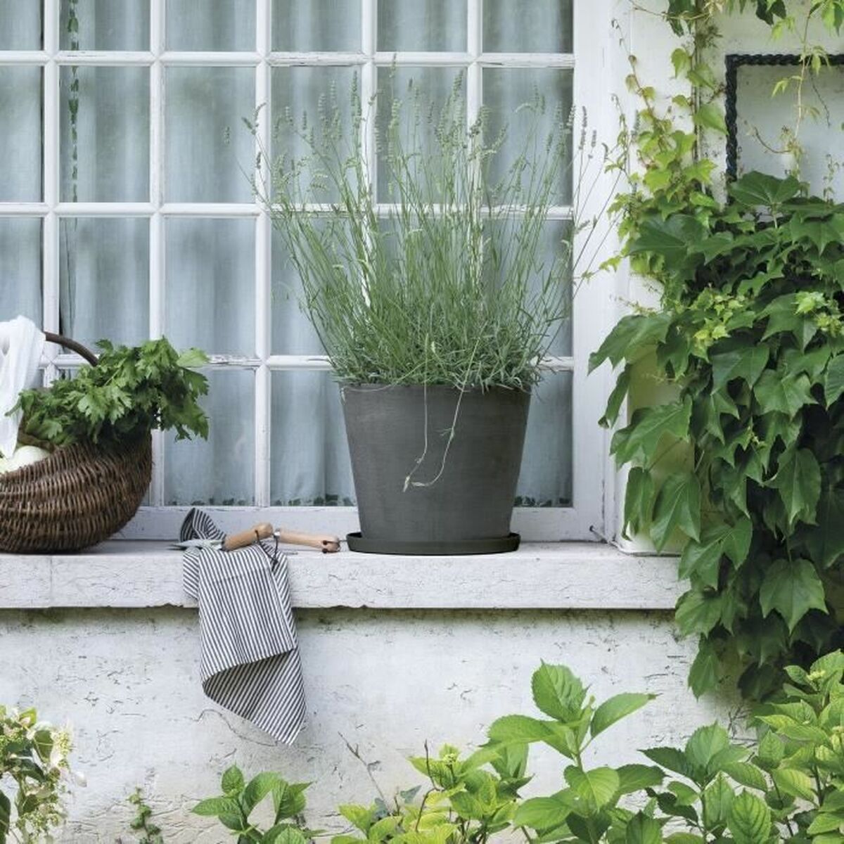 V4HD9A800DE749900E124C5FCB76DBBCBE2R7383771P2