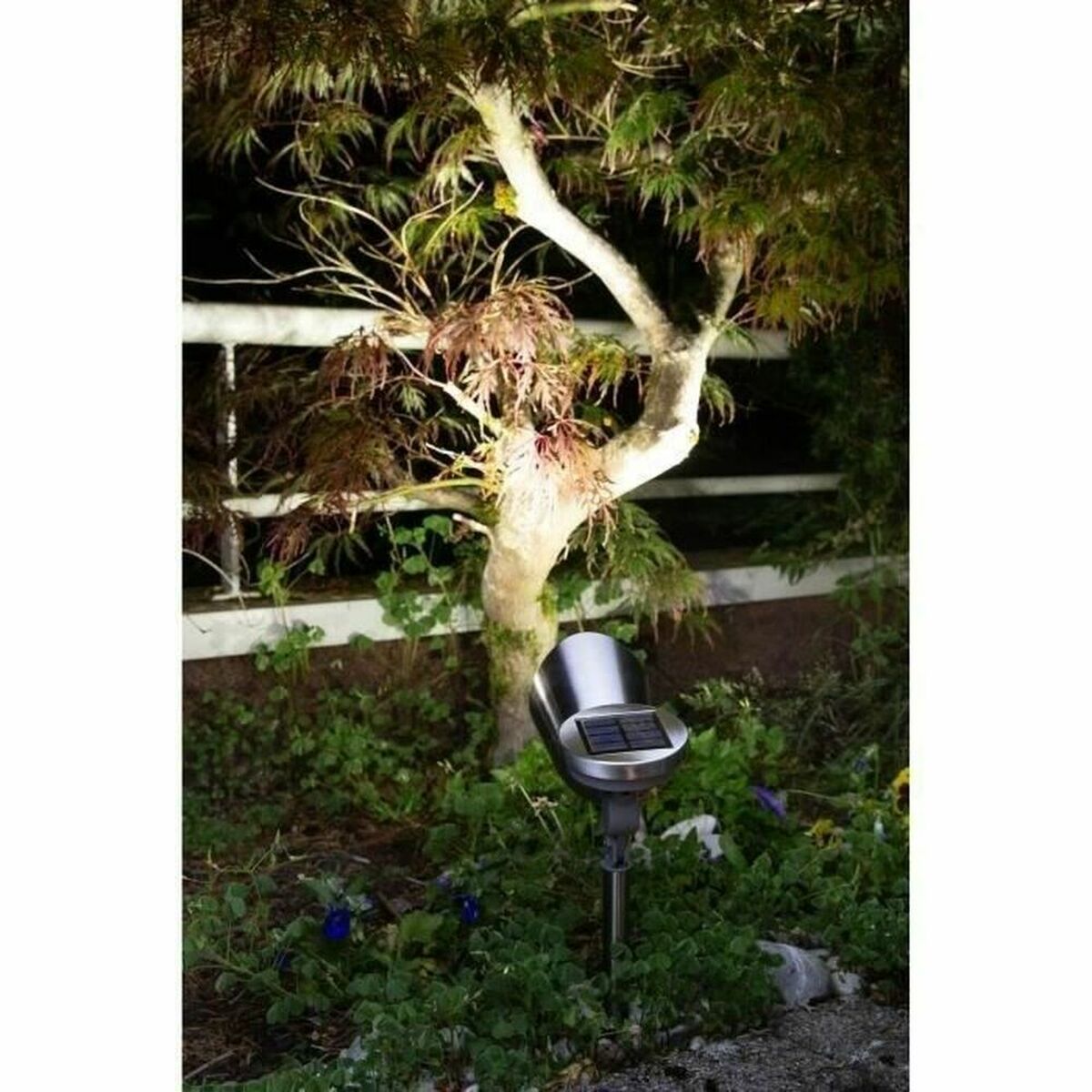 V9H52CB32AD979CACCAEDC646F6FF50179DR5430508P4