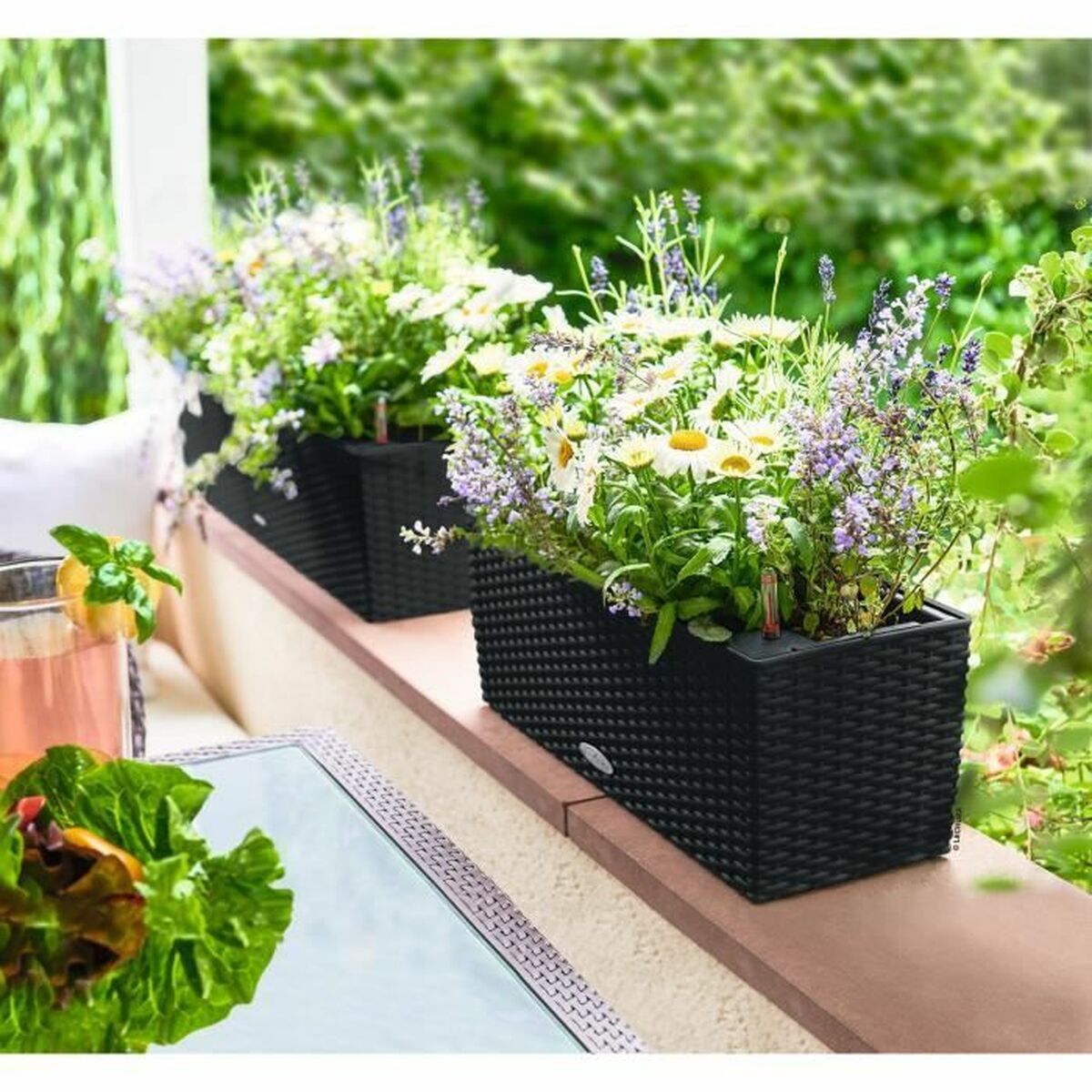 V4H81D557F75D3EE9D466D5D463D2D84065R6458000P2