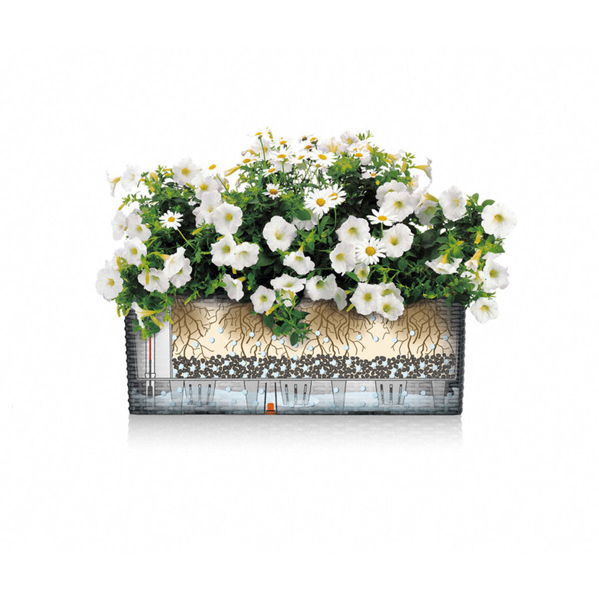 V4H5EEEA18967C7F21A33C1695E4C50967CR7249170P4