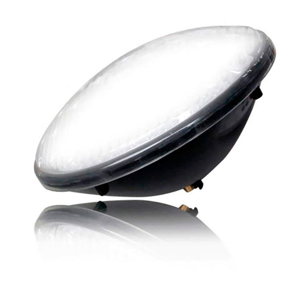 V9H8BEBFF3128BA1BD697E6BB1241BE8981R3892878P1