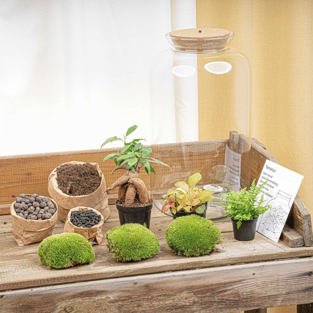 Terrarium-Bausatz – Sven Ginseng Bonsai – Flaschengarten – ↑ 43 cm