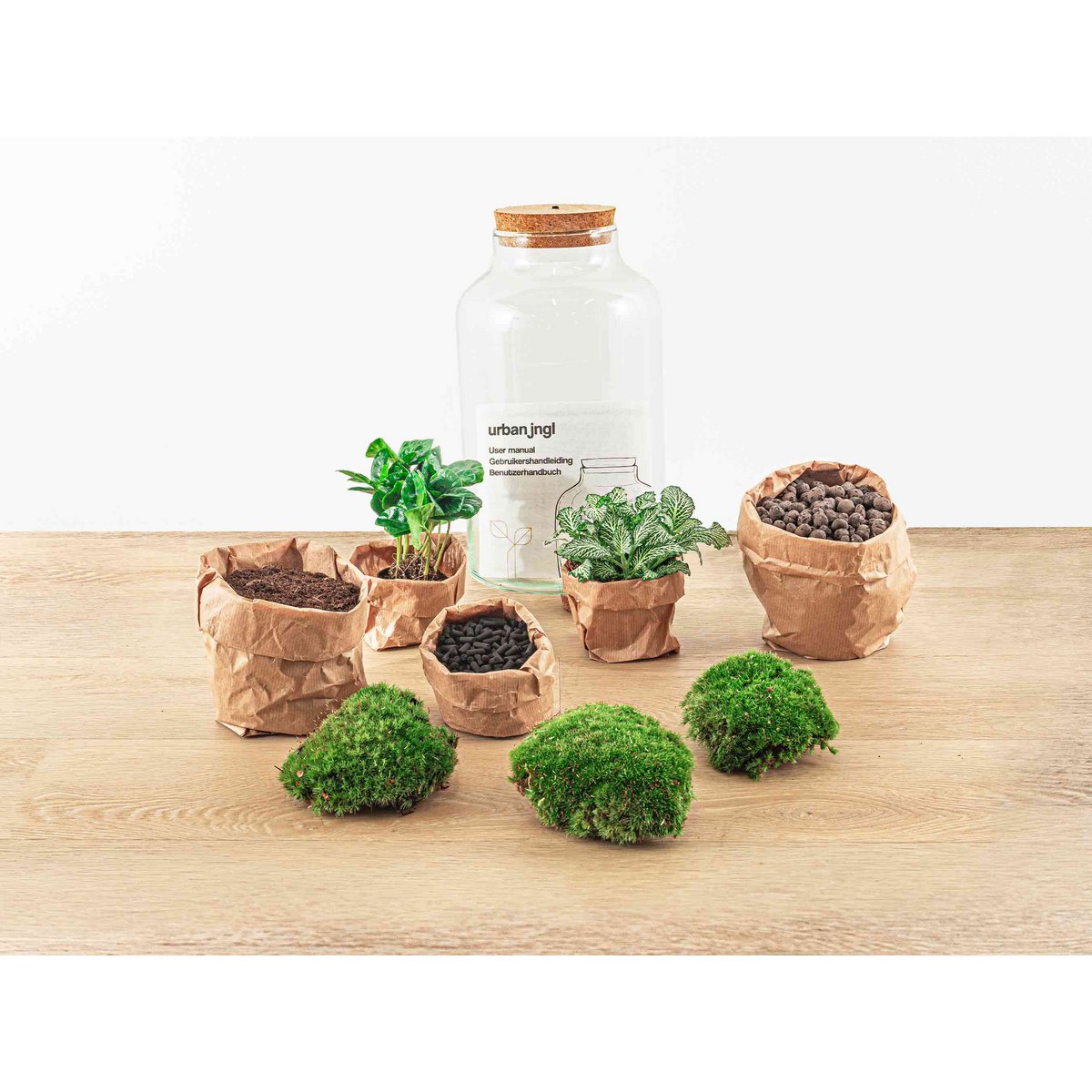 Terrarium-Bausatz – Milchiger Kaffee mit Licht – Flaschengarten – ↑ 31 cm