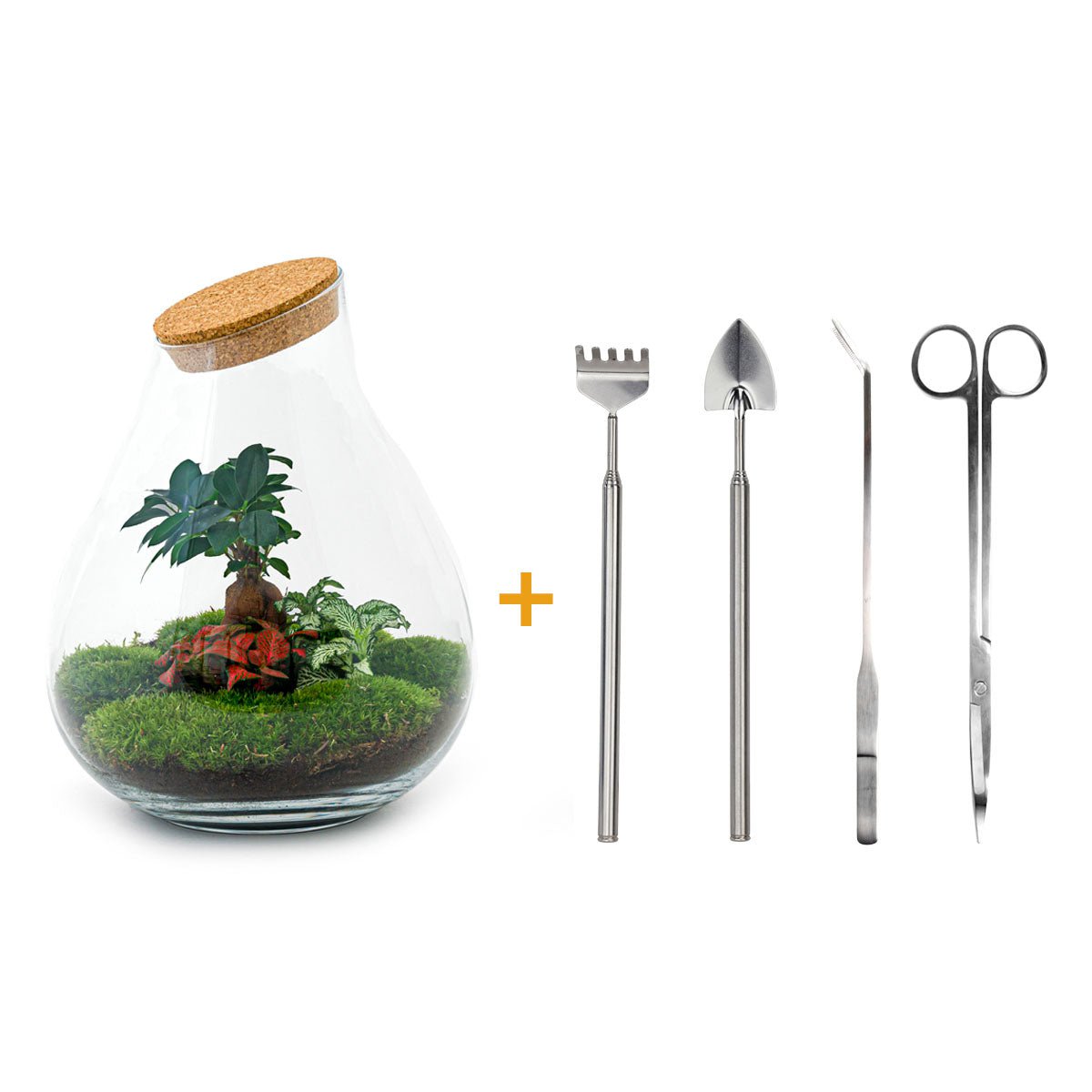 Ökosystempflanze - Drop XXL Bonsai - Pflanzenterrarium - ↑ 43 cm
