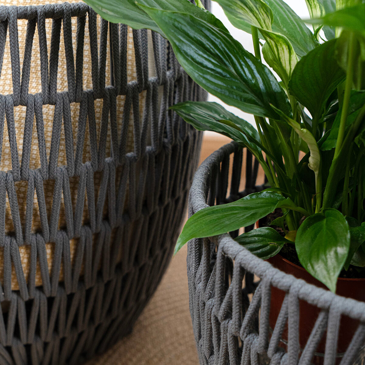 V8H888276FFA082E2043DCCD980F876D2F7R5340456P5