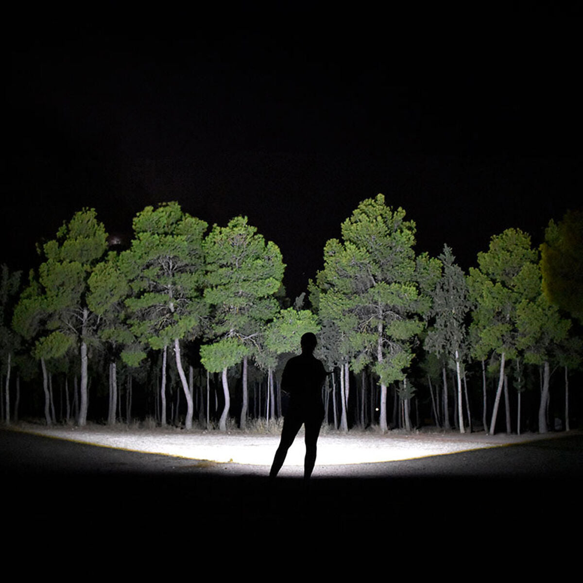 V4H29E165AF439FBBF026342346D2AD6FFAR5839326P10