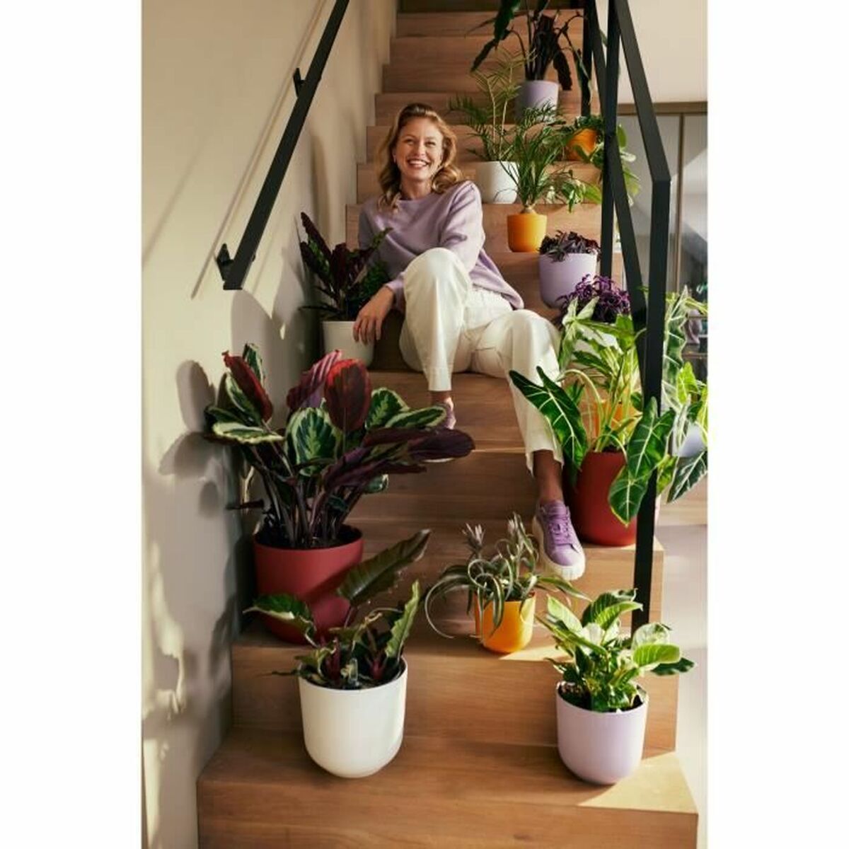 V3H3875A8E0D92064C991B074A9834B02CER5780298P4