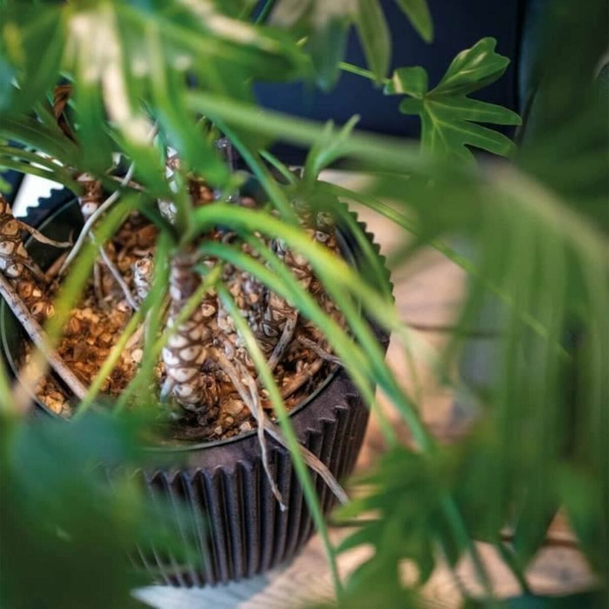 V4H8806723BBB9240019484CD95AB28FAB3R5081448P3