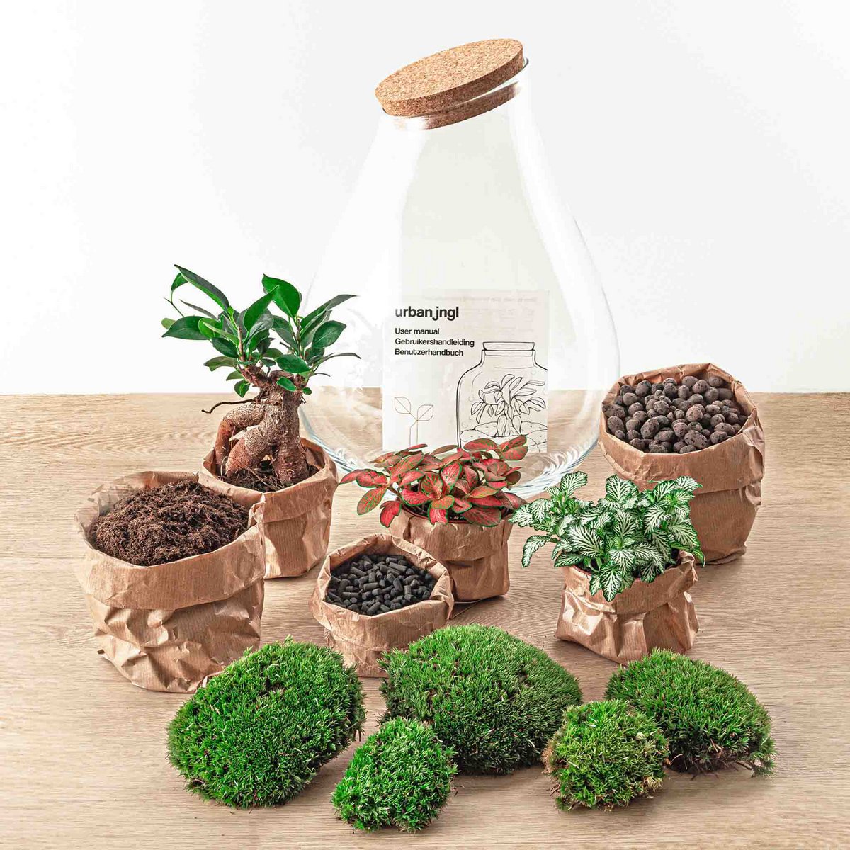 Ökosystempflanze - Drop XXL Bonsai - Pflanzenterrarium - ↑ 43 cm