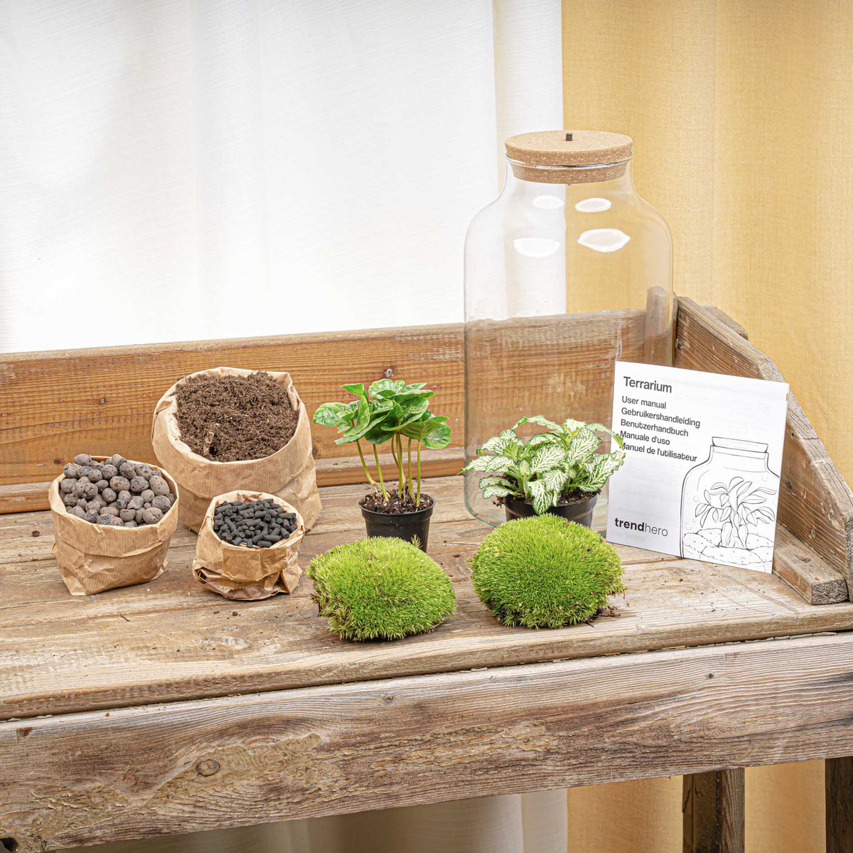 Terrarium-Bausatz – Milchiger Kaffee mit Licht – Flaschengarten – ↑ 31 cm